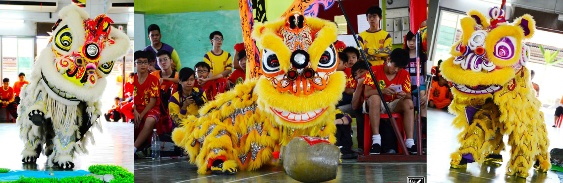 MÚA LÂN SƯ RỒNG